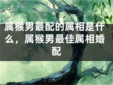 属猴男最配的属相是什么，属猴男最佳属相婚配