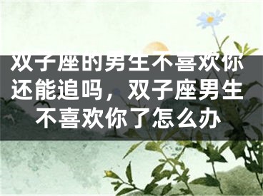 双子座的男生不喜欢你还能追吗，双子座男生不喜欢你了怎么办