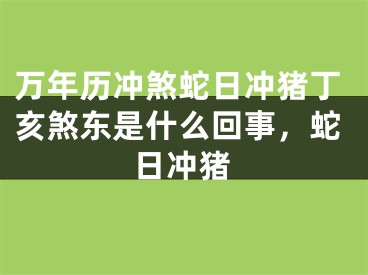 万年历冲煞蛇日冲猪丁亥煞东是什么回事,蛇日冲猪