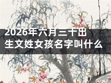 2026年六月三十出生文姓女孩名字叫什么