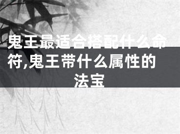 鬼王最适合搭配什么命符,鬼王带什么属性的法宝