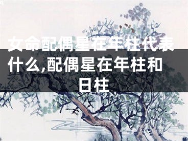 女命配偶星在年柱代表什么,配偶星在年柱和日柱