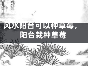 风水阳台可以种草莓，阳台栽种草莓
