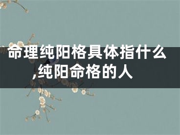 命理纯阳格具体指什么,纯阳命格的人