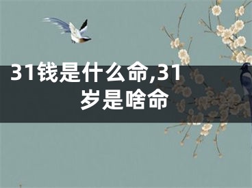 31钱是什么命,31岁是啥命