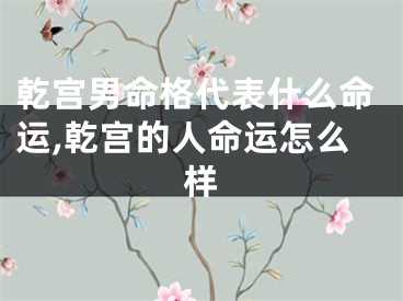 乾宫男命格代表什么命运,乾宫的人命运怎么样