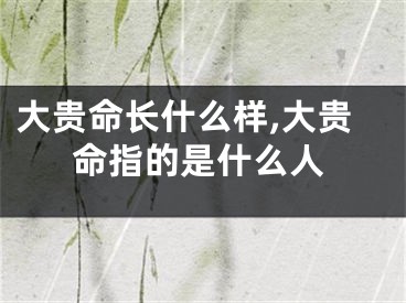大贵命长什么样,大贵命指的是什么人