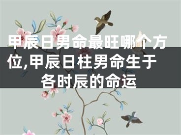 甲辰日男命最旺哪个方位,甲辰日柱男命生于各时辰的命运