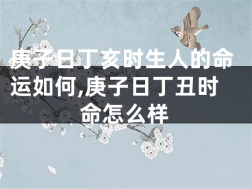 庚子日丁亥时生人的命运如何,庚子日丁丑时命怎么样