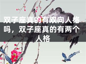 双子座真的有双向人格吗，双子座真的有两个人格