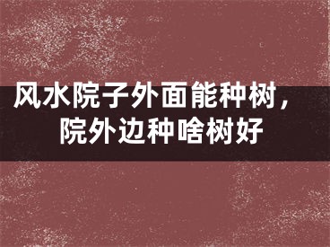 风水院子外面能种树，院外边种啥树好