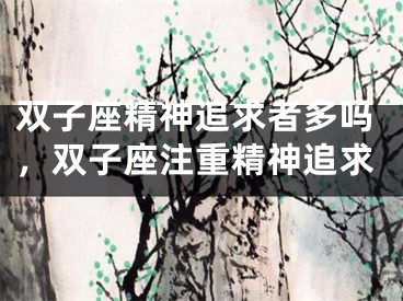 双子座精神追求者多吗，双子座注重精神追求