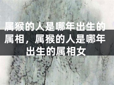 属猴的人是哪年出生的属相，属猴的人是哪年出生的属相女