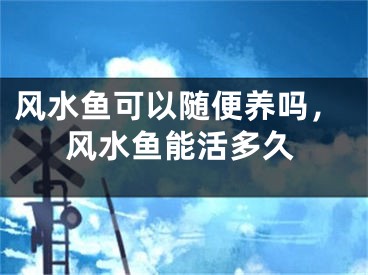 风水鱼可以随便养吗，风水鱼能活多久