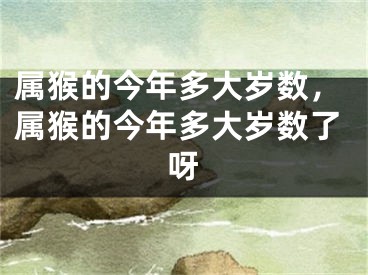属猴的今年多大岁数，属猴的今年多大岁数了呀