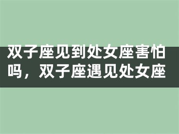 双子座见到处女座害怕吗，双子座遇见处女座