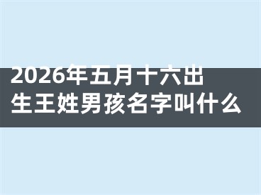 2026年五月十六出生王姓男孩名字叫什么