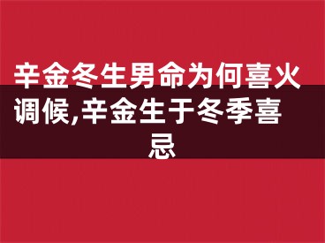 辛金冬生男命为何喜火调候,辛金生于冬季喜忌