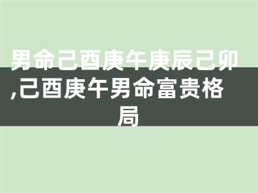男命己酉庚午庚辰己卯,己酉庚午男命富贵格局