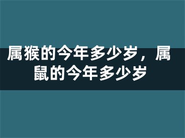 属猴的今年多少岁，属鼠的今年多少岁