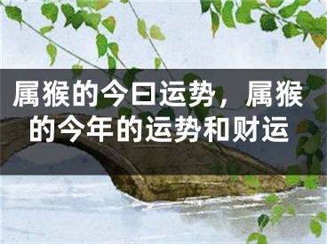 属猴的今曰运势，属猴的今年的运势和财运