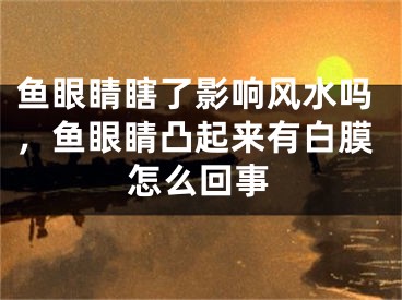 鱼眼睛瞎了影响风水吗，鱼眼睛凸起来有白膜怎么回事