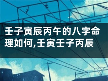 壬子寅辰丙午的八字命理如何,壬寅壬子丙辰