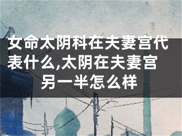 女命太阴科在夫妻宫代表什么,太阴在夫妻宫另一半怎么样