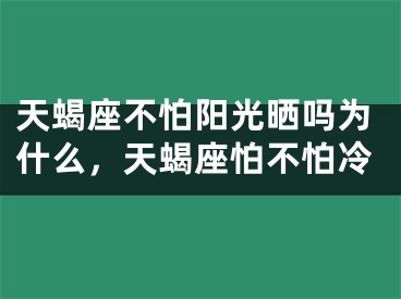 天蝎座不怕阳光晒吗为什么，天蝎座怕不怕冷