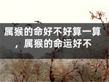 属猴的命好不好算一算，属猴的命运好不