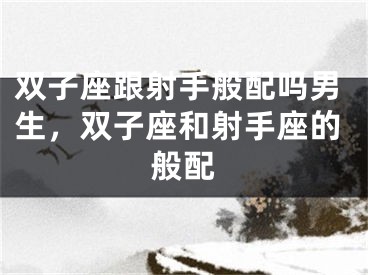 双子座跟射手般配吗男生，双子座和射手座的般配