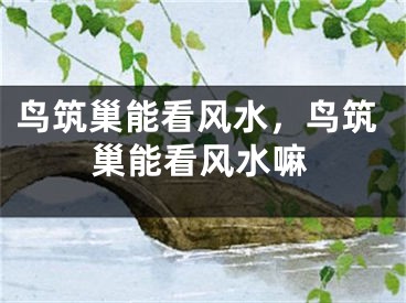 鸟筑巢能看风水，鸟筑巢能看风水嘛