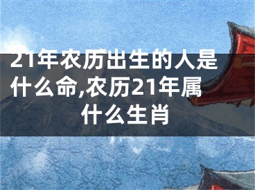 21年农历出生的人是什么命,农历21年属什么生肖