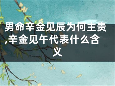 男命辛金见辰为何主贵,辛金见午代表什么含义