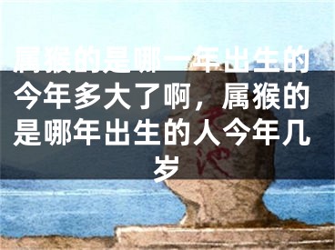 属猴的是哪一年出生的今年多大了啊，属猴的是哪年出生的人今年几岁