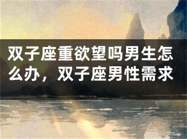 双子座重欲望吗男生怎么办，双子座男性需求