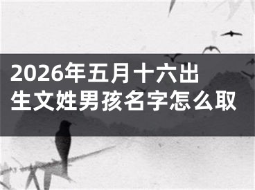 2026年五月十六出生文姓男孩名字怎么取