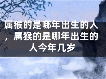 属猴的是哪年出生的人,属猴的是哪年出生的人今年几岁