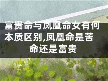 富贵命与凤凰命女有何本质区别,凤凰命是苦命还是富贵