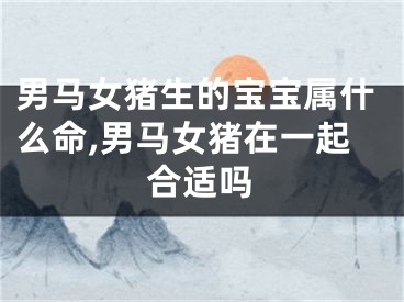 男马女猪生的宝宝属什么命,男马女猪在一起合适吗
