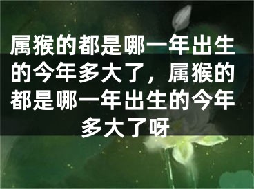 属猴的都是哪一年出生的今年多大了，属猴的都是哪一年出生的今年多大了呀