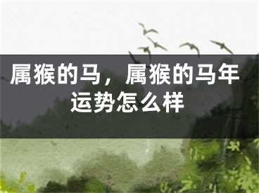 属猴的马，属猴的马年运势怎么样