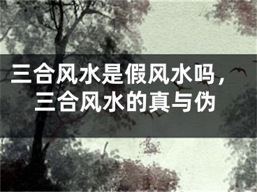 三合风水是假风水吗，三合风水的真与伪