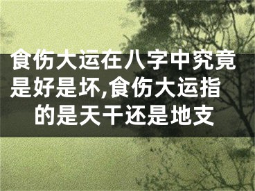 食伤大运在八字中究竟是好是坏,食伤大运指的是天干还是地支