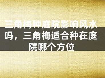 三角梅种庭院影响风水吗，三角梅适合种在庭院哪个方位