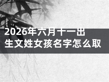 2026年六月十一出生文姓女孩名字怎么取