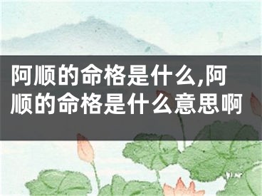 阿顺的命格是什么,阿顺的命格是什么意思啊