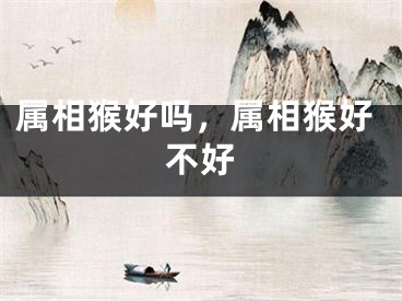 属相猴好吗，属相猴好不好