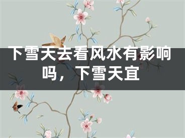 下雪天去看风水有影响吗，下雪天宜