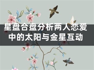星盘合盘分析两人恋爱中的太阳与金星互动